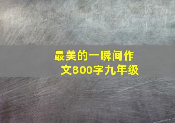 最美的一瞬间作文800字九年级