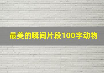 最美的瞬间片段100字动物