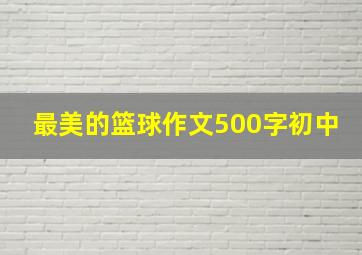 最美的篮球作文500字初中