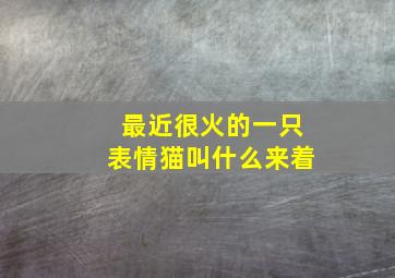 最近很火的一只表情猫叫什么来着