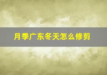 月季广东冬天怎么修剪