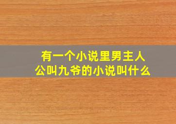 有一个小说里男主人公叫九爷的小说叫什么