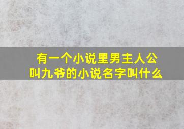 有一个小说里男主人公叫九爷的小说名字叫什么