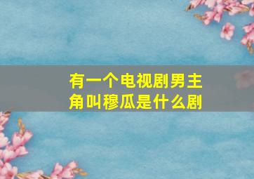 有一个电视剧男主角叫穆瓜是什么剧