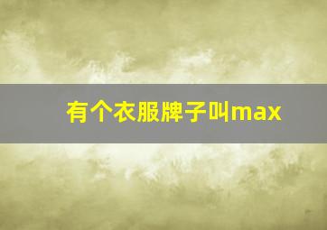 有个衣服牌子叫max