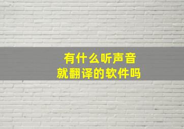 有什么听声音就翻译的软件吗