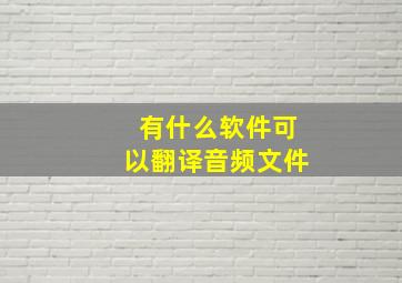 有什么软件可以翻译音频文件