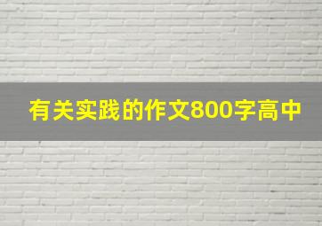 有关实践的作文800字高中