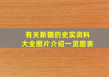 有关新疆的史实资料大全图片介绍一览图表