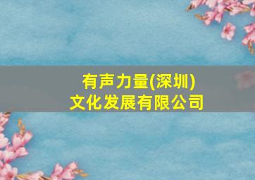 有声力量(深圳)文化发展有限公司