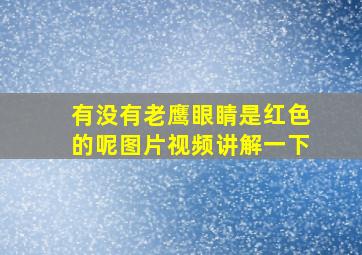 有没有老鹰眼睛是红色的呢图片视频讲解一下