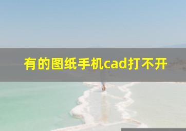 有的图纸手机cad打不开