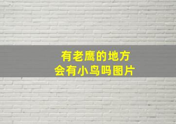 有老鹰的地方会有小鸟吗图片