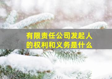 有限责任公司发起人的权利和义务是什么