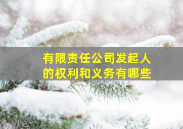 有限责任公司发起人的权利和义务有哪些