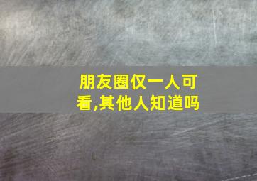 朋友圈仅一人可看,其他人知道吗