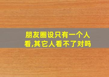 朋友圈设只有一个人看,其它人看不了对吗