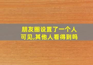 朋友圈设置了一个人可见,其他人看得到吗