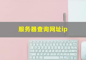 服务器查询网址ip