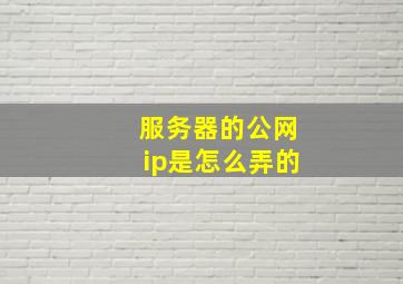 服务器的公网ip是怎么弄的