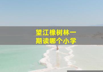 望江橡树林一期读哪个小学