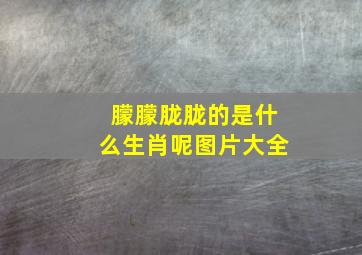 朦朦胧胧的是什么生肖呢图片大全