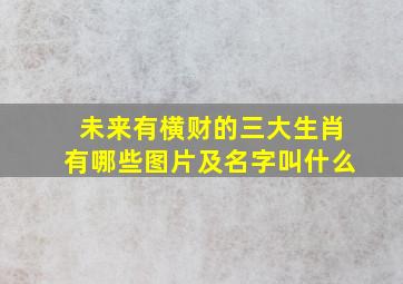 未来有横财的三大生肖有哪些图片及名字叫什么