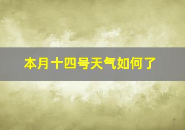 本月十四号天气如何了