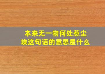 本来无一物何处惹尘埃这句话的意思是什么