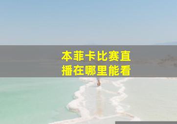 本菲卡比赛直播在哪里能看