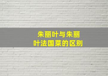 朱丽叶与朱丽叶法国菜的区别