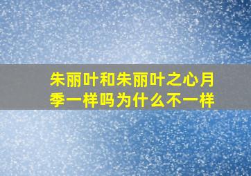 朱丽叶和朱丽叶之心月季一样吗为什么不一样