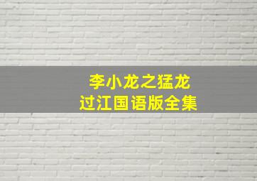 李小龙之猛龙过江国语版全集