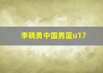 李晓勇中国男篮u17