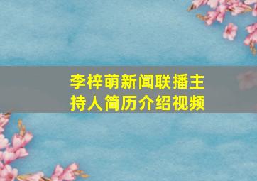 李梓萌新闻联播主持人简历介绍视频