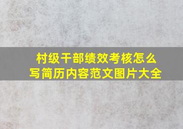 村级干部绩效考核怎么写简历内容范文图片大全