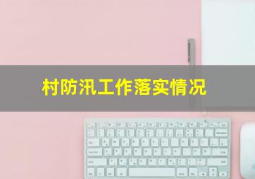 村防汛工作落实情况