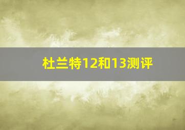 杜兰特12和13测评