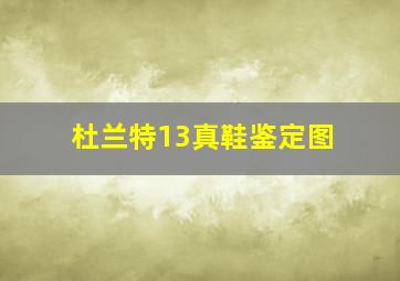 杜兰特13真鞋鉴定图