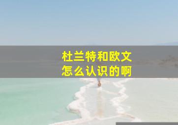 杜兰特和欧文怎么认识的啊