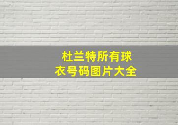 杜兰特所有球衣号码图片大全