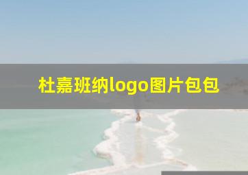 杜嘉班纳logo图片包包