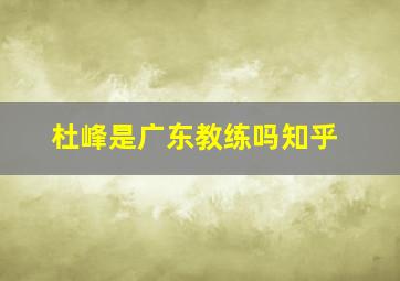 杜峰是广东教练吗知乎