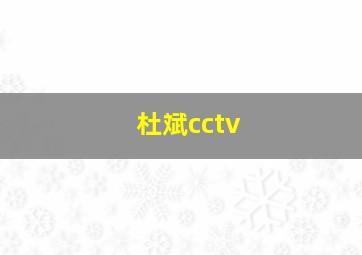 杜斌cctv