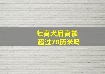 杜高犬肩高能超过70历米吗