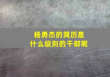 杨勇杰的简历是什么级别的干部呢