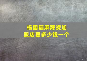 杨国福麻辣烫加盟店要多少钱一个