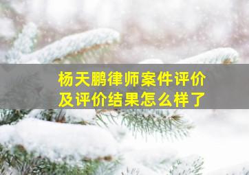 杨天鹏律师案件评价及评价结果怎么样了