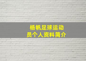 杨帆足球运动员个人资料简介