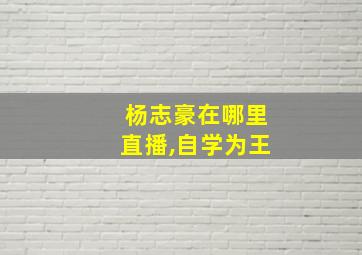 杨志豪在哪里直播,自学为王